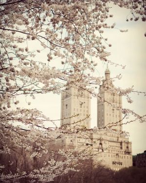 Sepia inspired New York cherry blossom glamour - pretty in pink.jpg